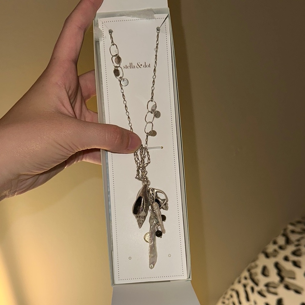 Stella & Dot Silver Pendant Necklace